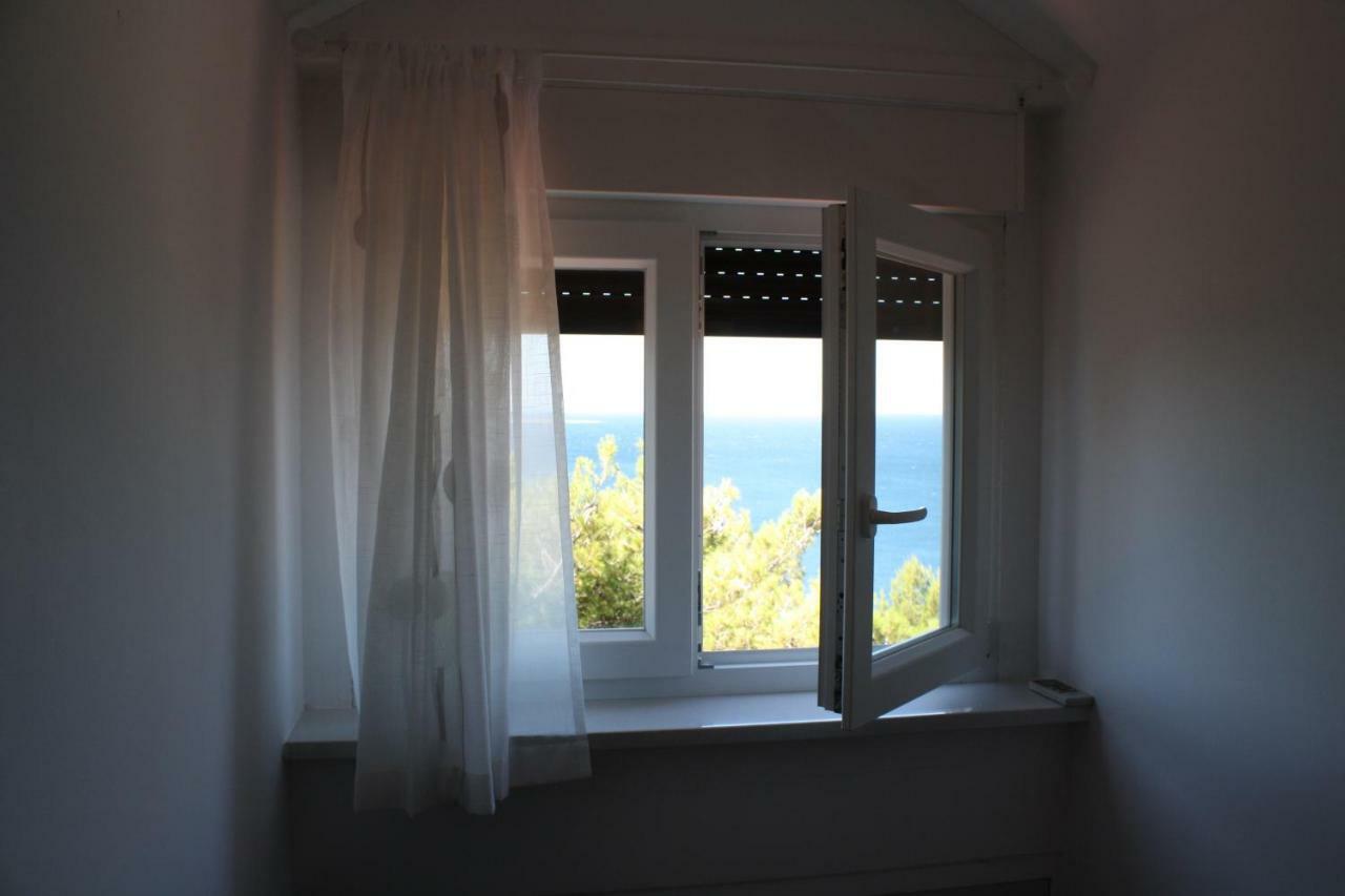 Radic Apartment